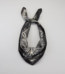 Dream On Paisley Satin Scarf