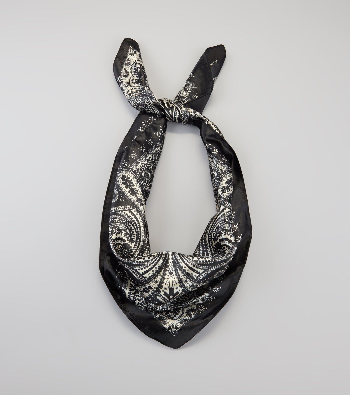 Dream On Paisley Satin Scarf