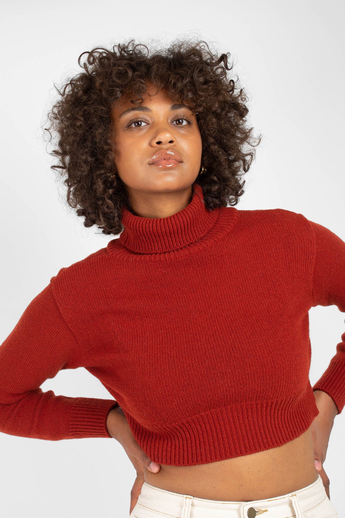 Rust orange wool cropped turtleneck jumper