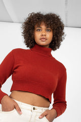 Rust orange wool cropped turtleneck jumper