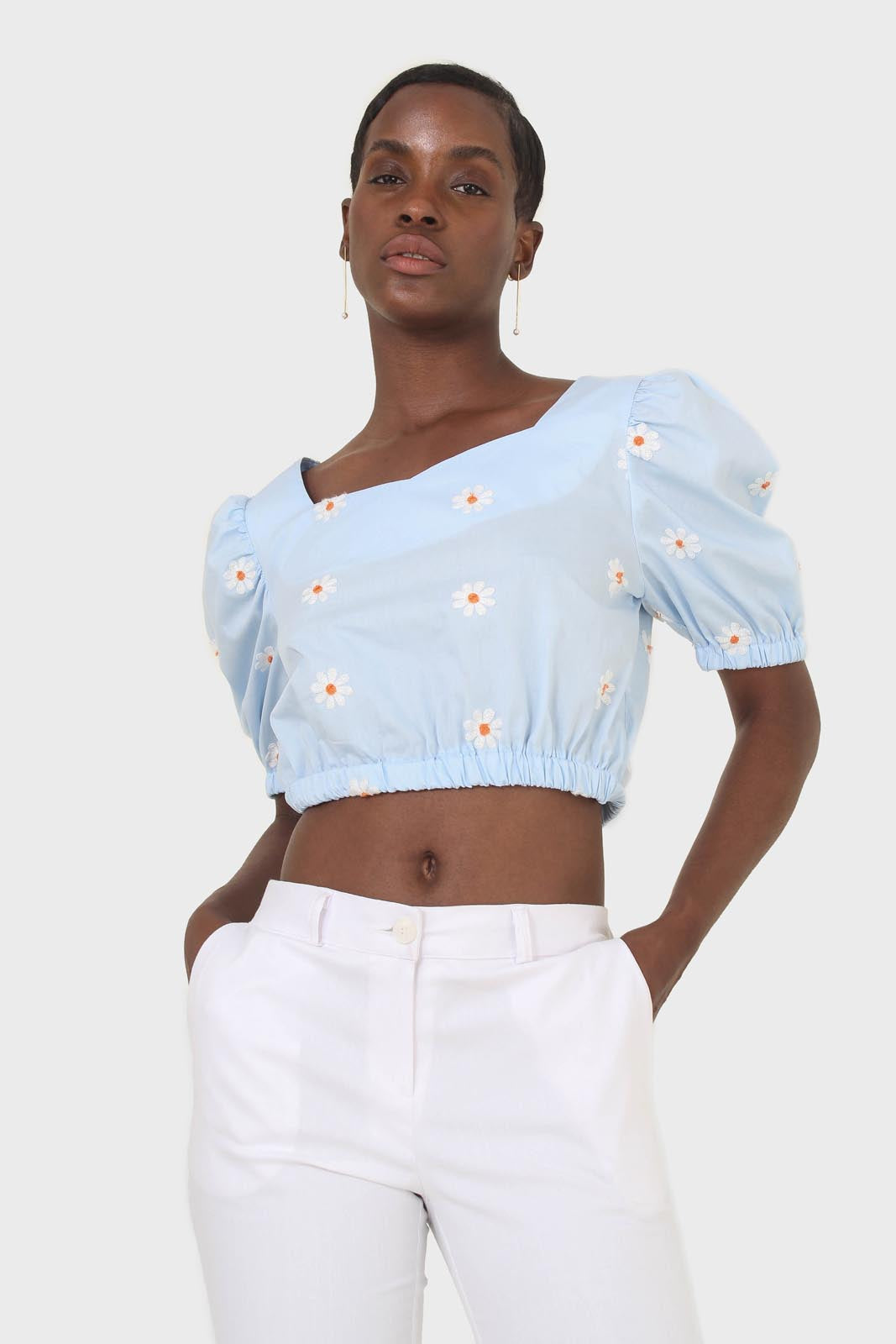 Blue embroidered daisy short sleeved top
