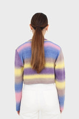 Rainbow thick striped cropped knit top
