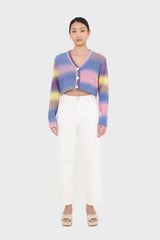 Rainbow thick striped cropped knit top