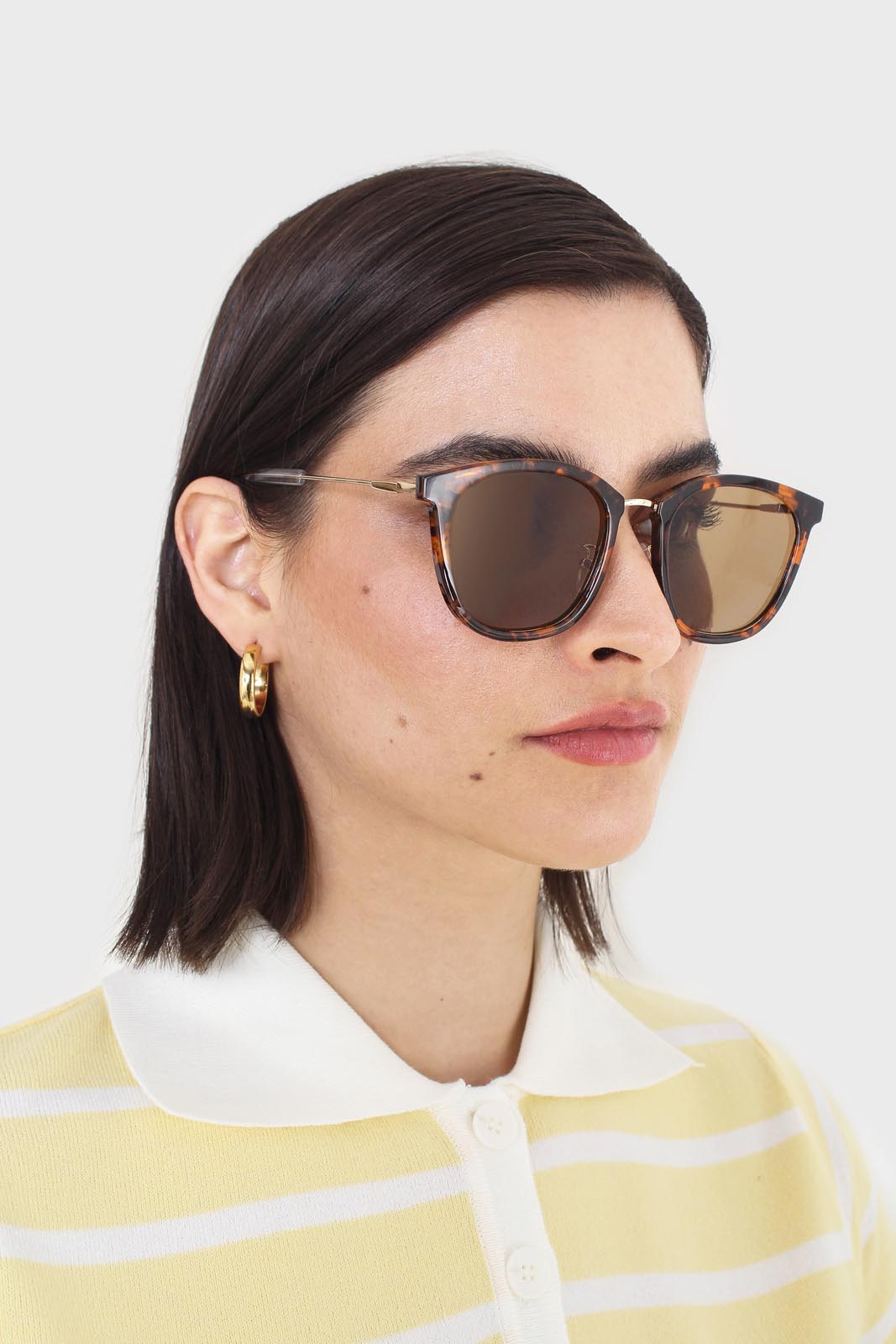 Tortoise shell and gold arm classic sunglasses