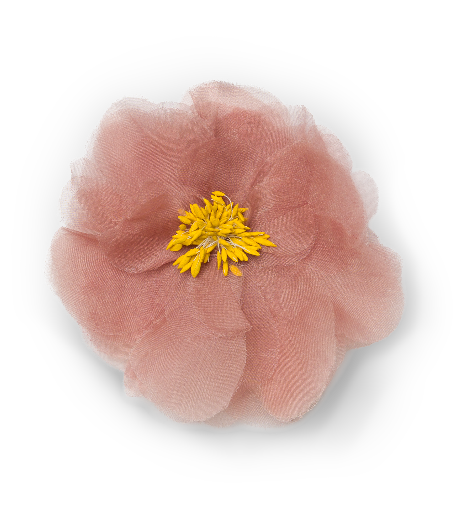 DANI BARRETTE -- APRICOT ORGANZA