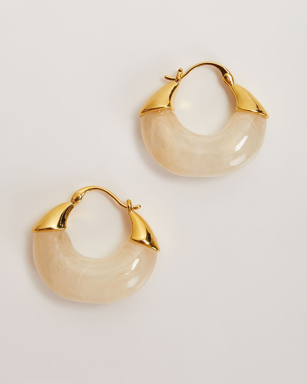 Lucite Hoop Earrings