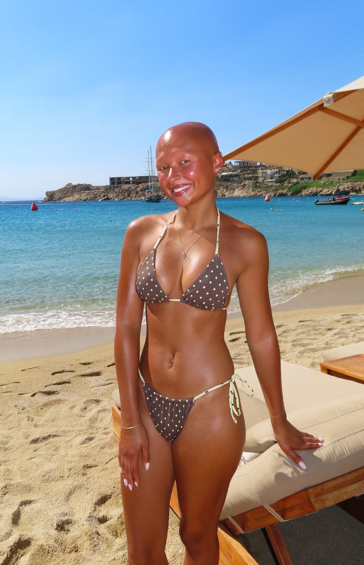 Florida Brown Polka Dot Triangle Bikini Top