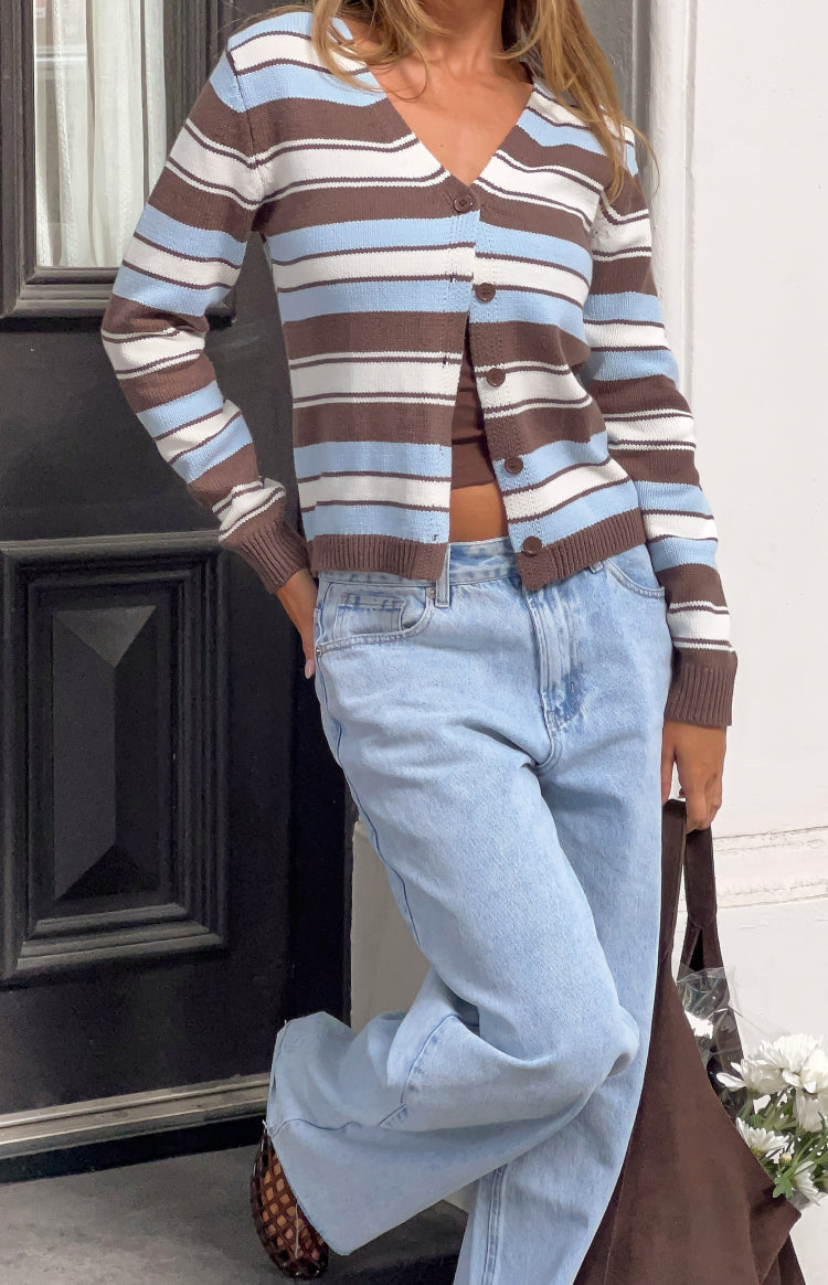 Misha Brown and Blue Stripe Button Down Cardigan