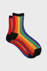 Rainbow sheer vertical striped socks